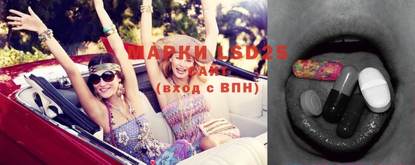 винт Алзамай
