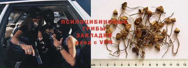 дмт Алексеевка