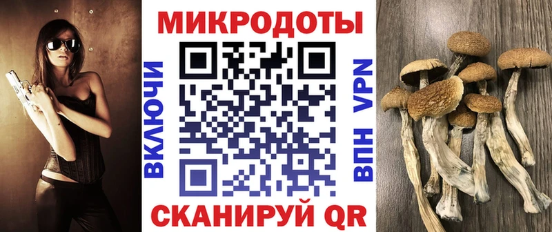 Псилоцибиновые грибы GOLDEN TEACHER  блэк спрут ТОР  Подольск 
